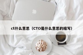 ct什么意思（CTO是什么意思的缩写）