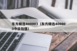 东方精选400003（东方精选400003今日估值）