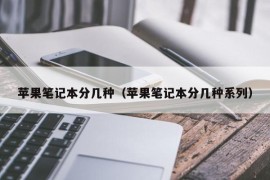 苹果笔记本分几种（苹果笔记本分几种系列）