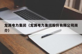 龙源电力集团（龙源电力集团股份有限公司简介）