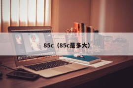 85c（85c是多大）