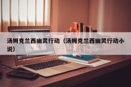 汤姆克兰西幽灵行动（汤姆克兰西幽灵行动小说）