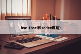 bsc（bsci和sedex区别）