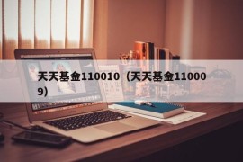 天天基金110010（天天基金110009）