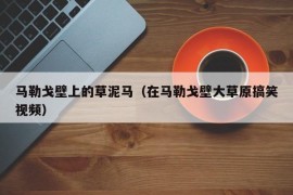 马勒戈壁上的草泥马（在马勒戈壁大草原搞笑视频）