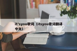 it'syou歌词（itsyou歌词翻译中文）