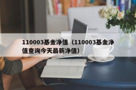 110003基金净值（110003基金净值查询今天最新净值）