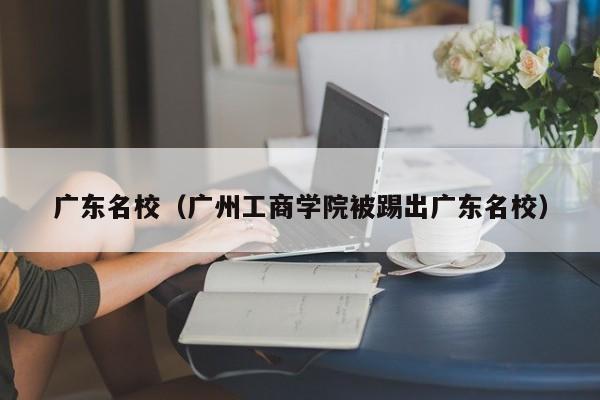 广东名校（广州工商学院被踢出广东名校）