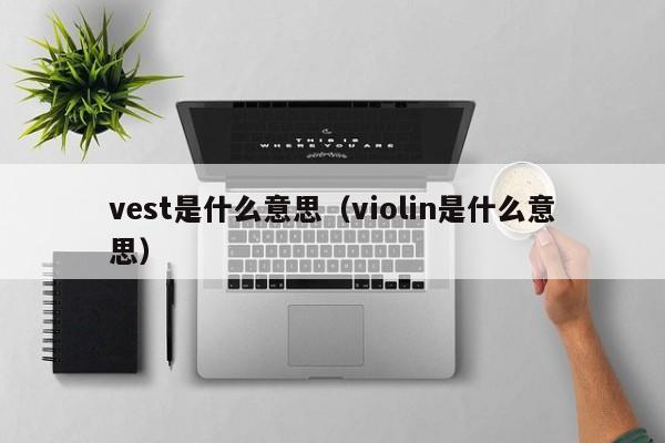 vest是什么意思（violin是什么意思）