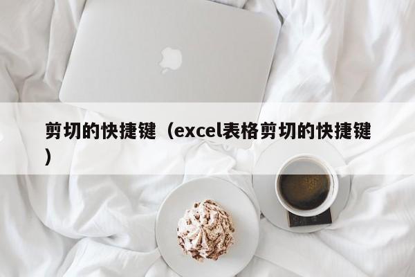 剪切的快捷键（excel表格剪切的快捷键）