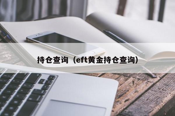 持仓查询（eft黄金持仓查询）