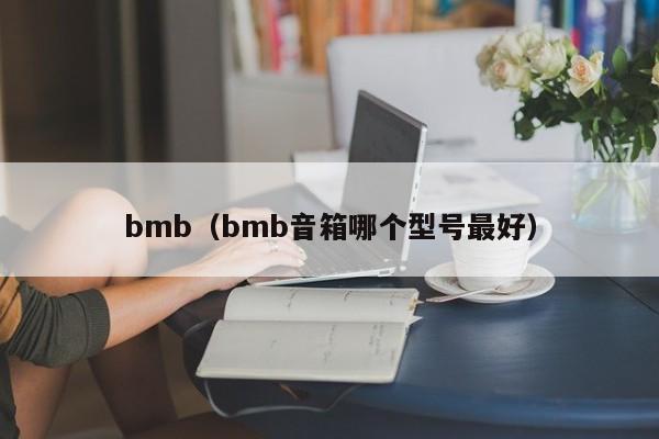 bmb（bmb音箱哪个型号最好）