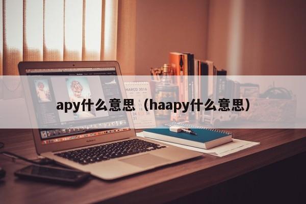 apy什么意思（haapy什么意思）