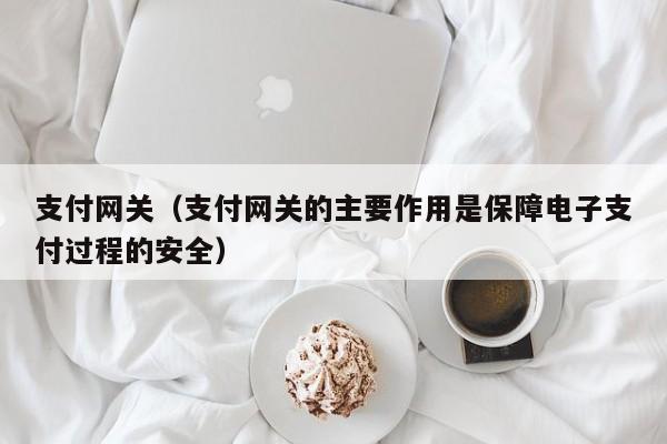 支付网关（支付网关的主要作用是保障电子支付过程的安全）