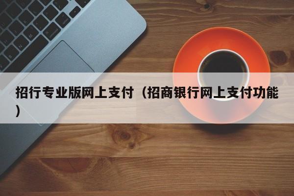 招行专业版网上支付（招商银行网上支付功能）