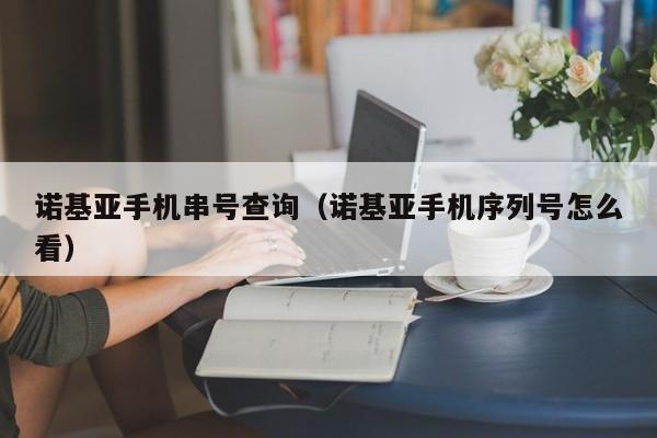 诺基亚手机串号查询（诺基亚手机序列号怎么看）