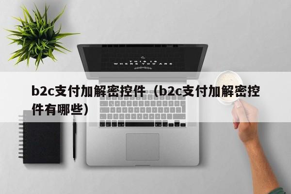 b2c支付加解密控件（b2c支付加解密控件有哪些）