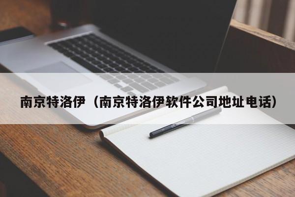 南京特洛伊（南京特洛伊软件公司地址电话）